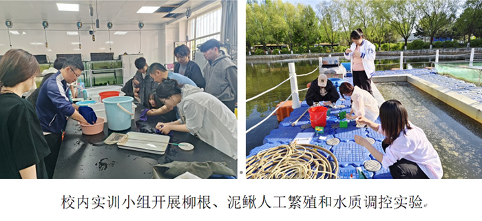 微信截图_20240604105904.jpg