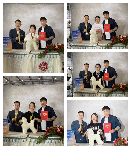 光影魔术手拼图.jpg