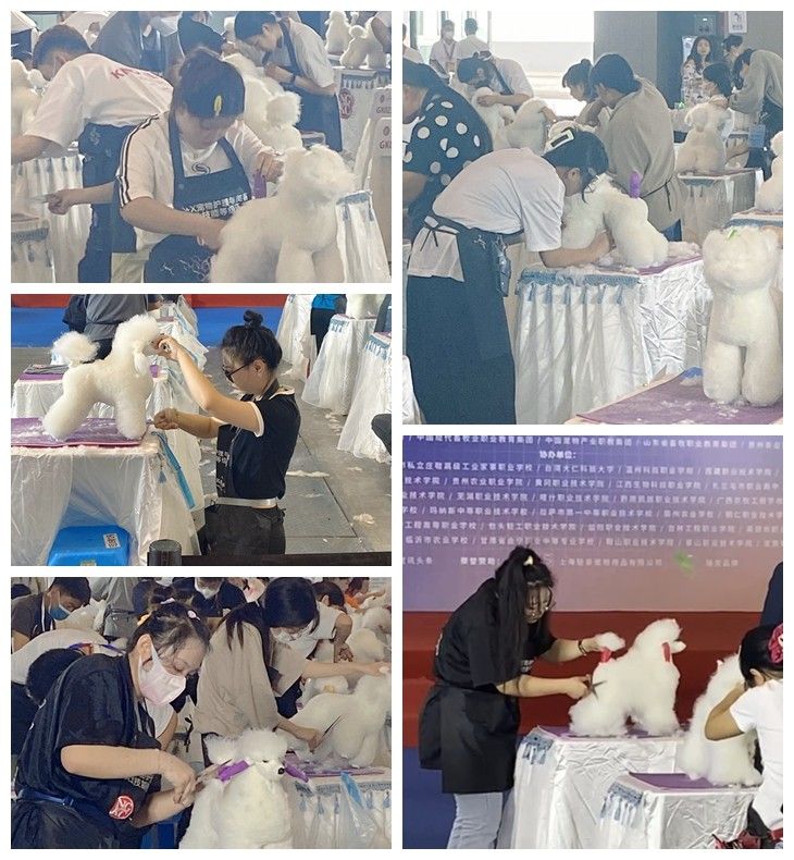 比赛现场.jpg